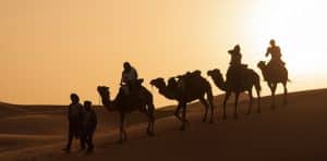 camel trekking