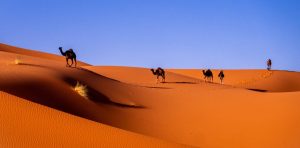 3 days Marrakech to Fes via Merzouga desert