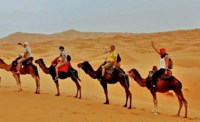 Excellent 4 Days Desert Tour from Marrakech to Fes|4 Days Marrakech Desert Tour to fez