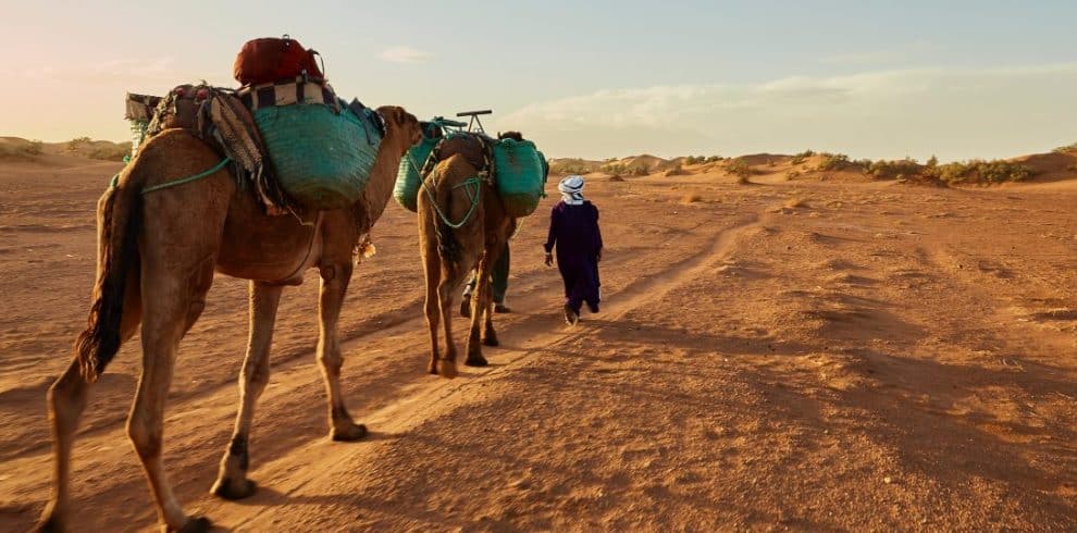 camel-trek-from-MFG